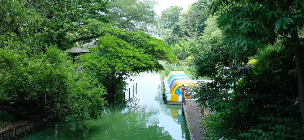 A view of BOXIV SHARE KAMIIGUSA Station